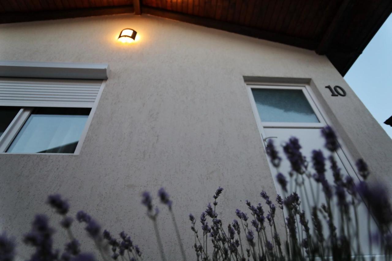 La Casute Tasaul Villa Navodari Exterior photo